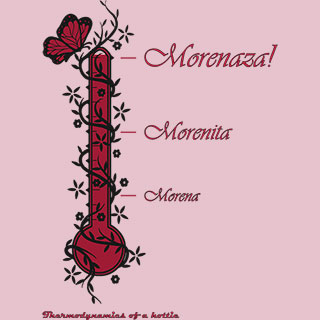 Thermodynamics Of A Hottie Thermodynamics Of A Hottie